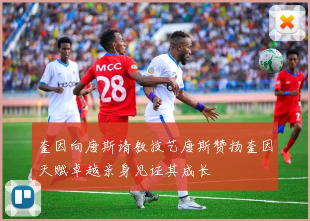奎因向唐斯请教技艺唐斯赞扬奎因天赋卓越亲身见证其成长