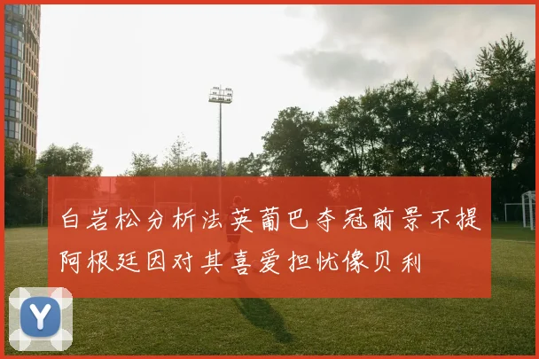 白岩松分析法英葡巴夺冠前景不提阿根廷因对其喜爱担忧像贝利